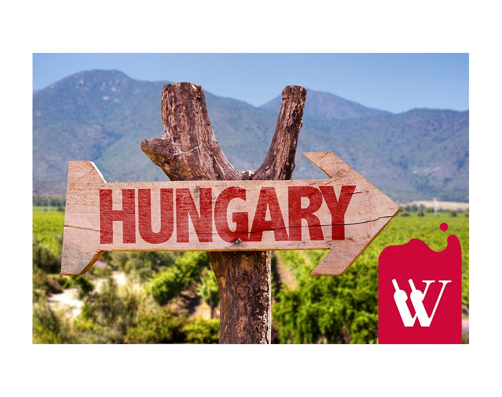 Odkryj węgierskie wina.